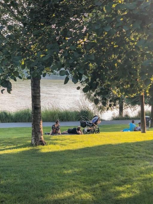 Stylish Getaway In Prime Bratislava Location - By The Danube And Old Town Lägenhet Exteriör bild
